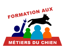 formation aux métiers du chien